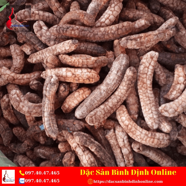 Chuối Hột Rừng Tây Nguyên