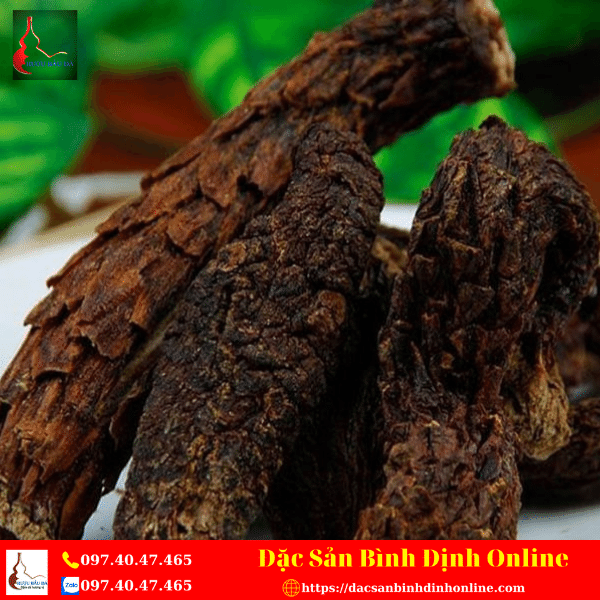 Nhục Thung Dung Khô - Thần Dược Chữa Yếu Sinh Lý