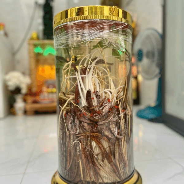 Bình Rượu Ngâm Cá Ngựa Tươi Siêu Vip Và Nhiều Vị Thuốc Quý - Bình Đặc Biệt 26,8L